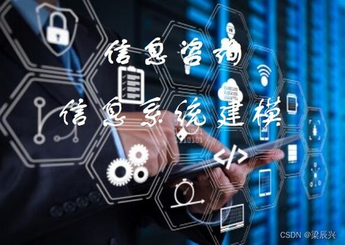 信息系統建模與分析 驅動電子商務技術開發的關鍵引擎